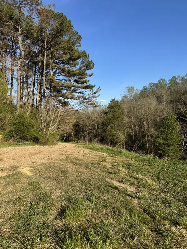 195 Hasty Hollow Rd, Lynchburg, TN 37352
