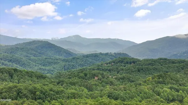 537 Johnson Lane #UNIT 1, Gatlinburg, TN 37738