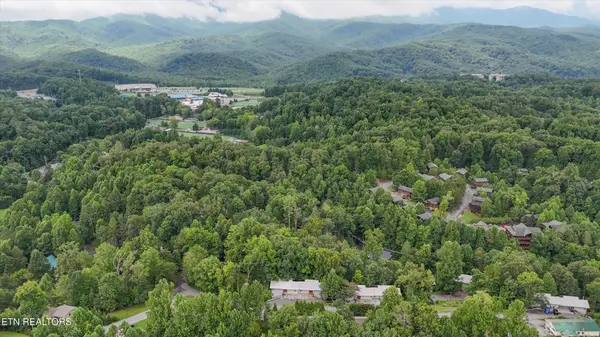 516 Proffitt Rd #1, Gatlinburg, TN 37738
