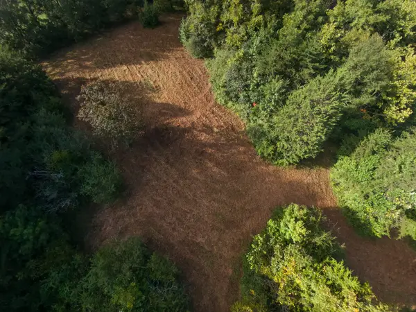 408 Shadden Rd, Tellico Plains, TN 37385