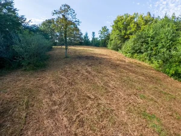 408 Shadden Rd, Tellico Plains, TN 37385
