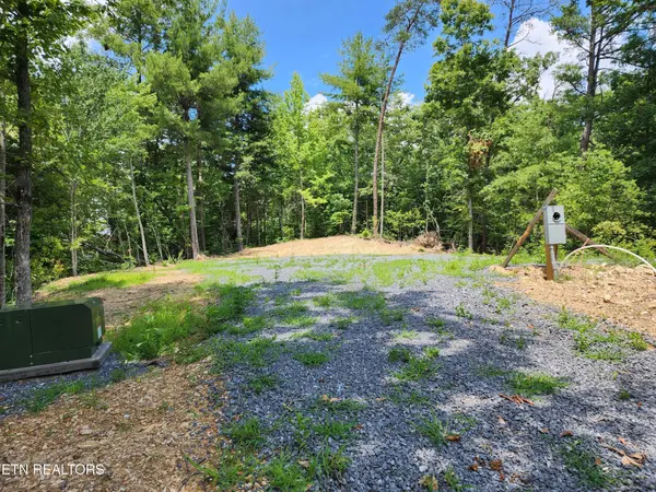 0 Tiger Lilly Drive, Cosby, TN 37722