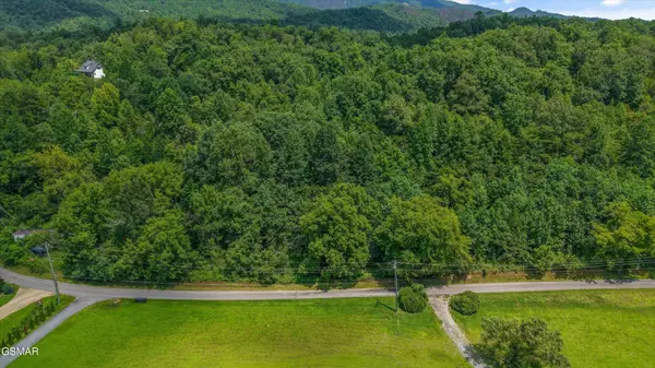 0 East Parkway, Pittman Center, TN 37876