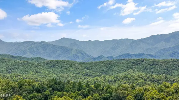 0 East Parkway, Pittman Center, TN 37876
