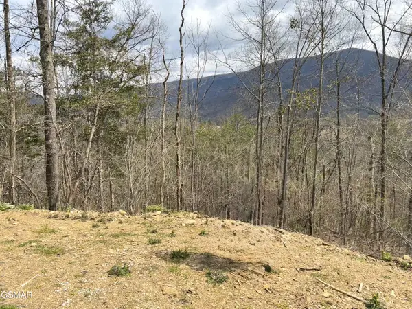 0 Quail Way, Sevierville, TN 37862