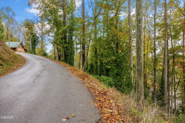 91 Silverbell Heights Lane, Gatlinburg, TN 37738