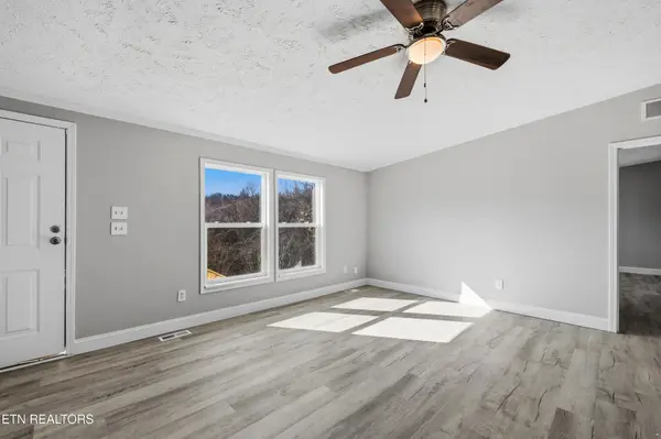 1564 Hollow Springs Rd, White Pine, TN 37890