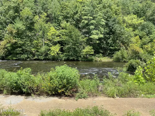 1663 Cherohala, Tellico Plains, TN 37385
