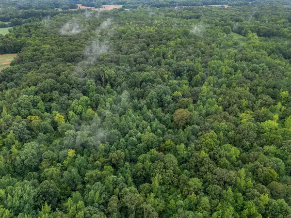 1230 Maytown Rd, Huntingdon, TN 38344