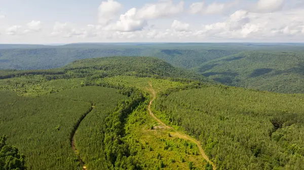 0 Flowing Well Road, Spencer, TN 38585