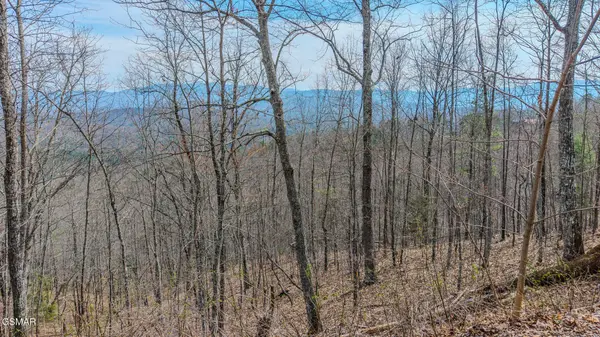 1 Shell Mountain Road, Sevierville, TN 37876