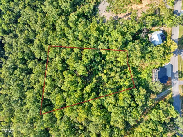 1 Shell Mountain Road, Sevierville, TN 37876