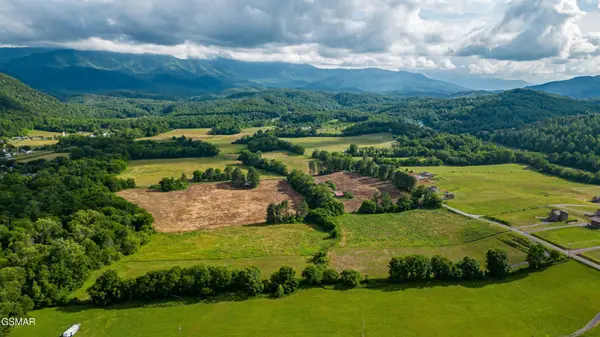 32 Holders Grove Road, Cosby, TN 37722