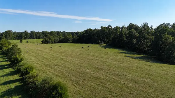 7810 Oscar Green Rd, Primm Springs, TN 38476