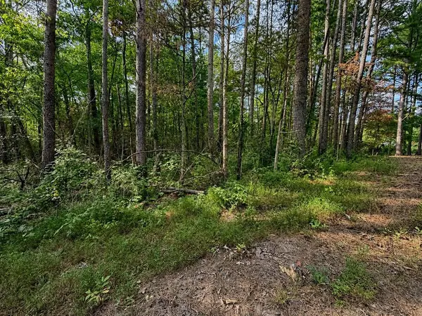 0 Judd Lane, Decatur, TN 37322