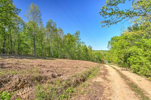 0 Chief Creek Rd, Lawrenceburg, TN 38464