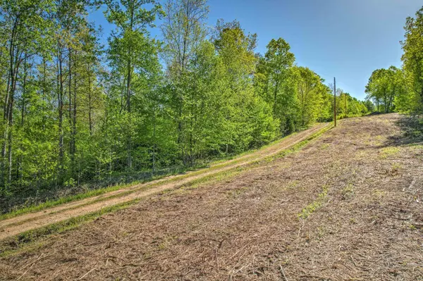0 Chief Creek Rd, Lawrenceburg, TN 38464