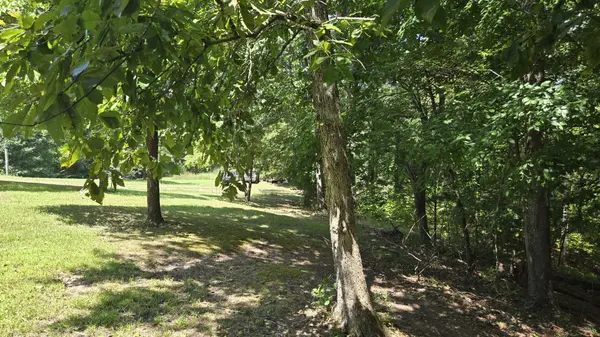 0 Big Ridge Rd, Indian Mound, TN 37079