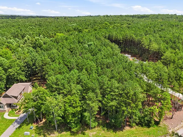0 Raulston Falls Road, Jasper, TN 37347