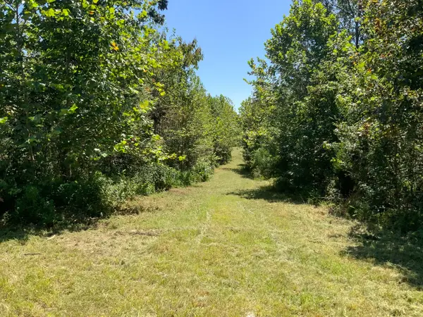 0 Streamside Drive, Dover, TN 37058