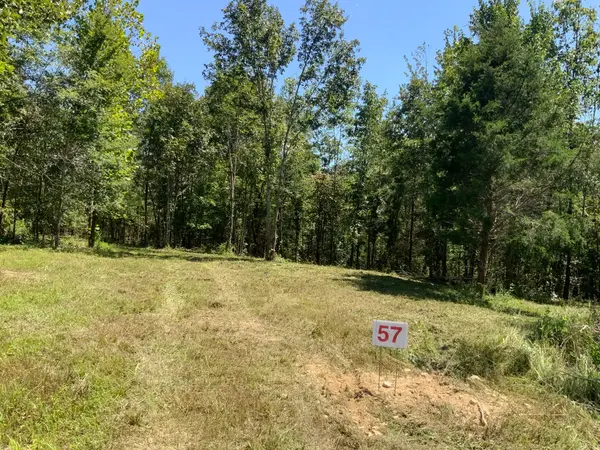 0 Streamside Drive, Dover, TN 37058