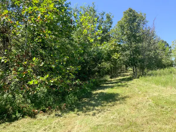 0 Streamside Drive, Dover, TN 37058