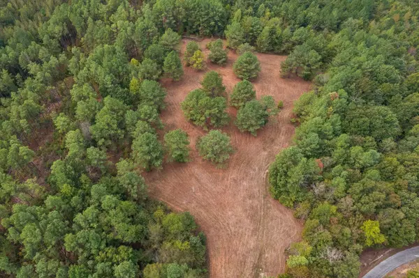 12946 Birdsong RD, Holladay, TN 38341