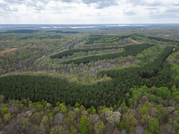 0 Rustic Pines Road, Dover, TN 37058