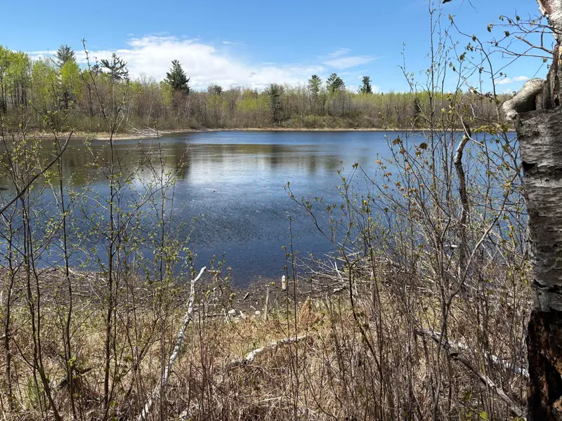 854x W Chub Lake Rd, Carlton, MN 55718