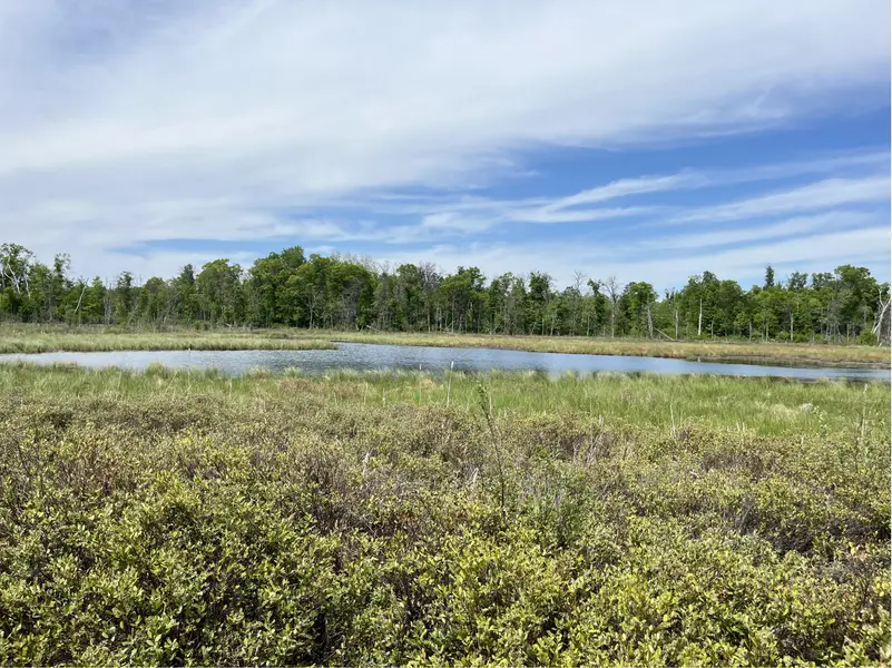 13384 Sorenson Lake RD, Merrifield, MN 56465