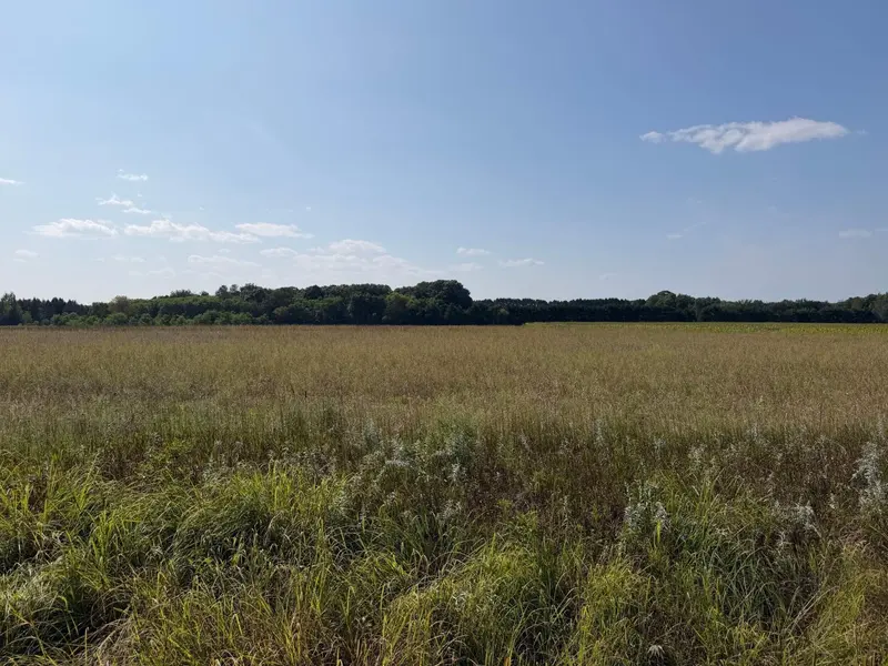 34660 Grand AVE, Stacy, MN 55079
