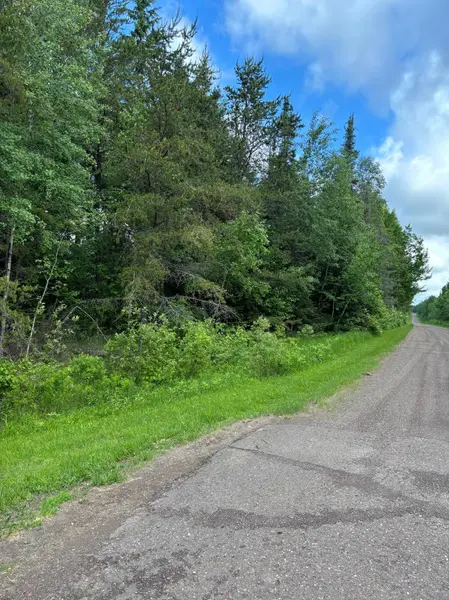 XXX Town Line RD, Bassett Twp, MN 55602