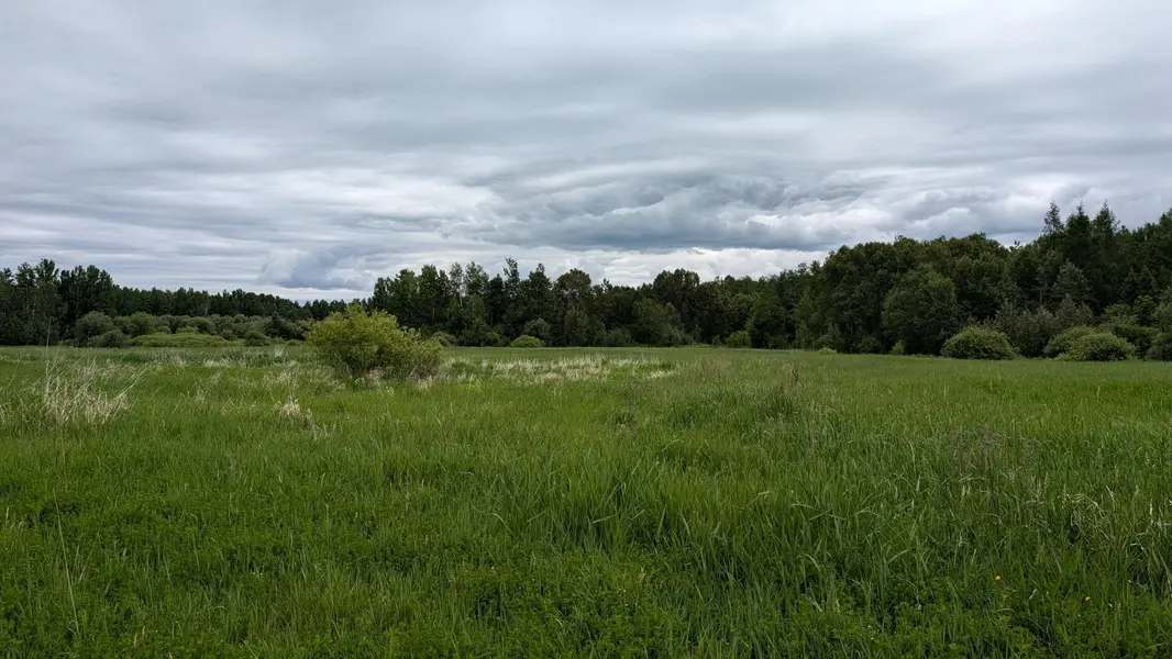 10211 Leander RD, Angora, MN 55703