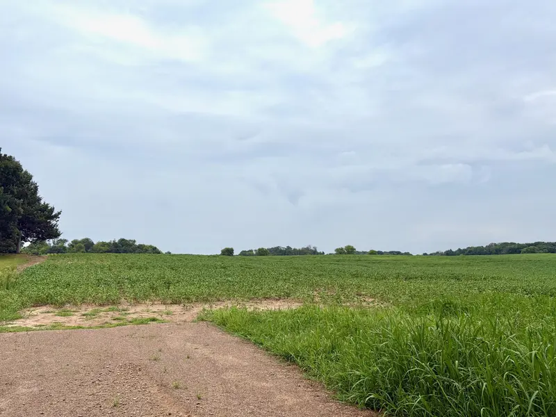 TBD (L1B2) Flamingo ST NW, Isanti, MN 55040