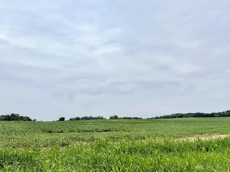 TBD (L3B2) Flamingo ST NW, Isanti, MN 55040