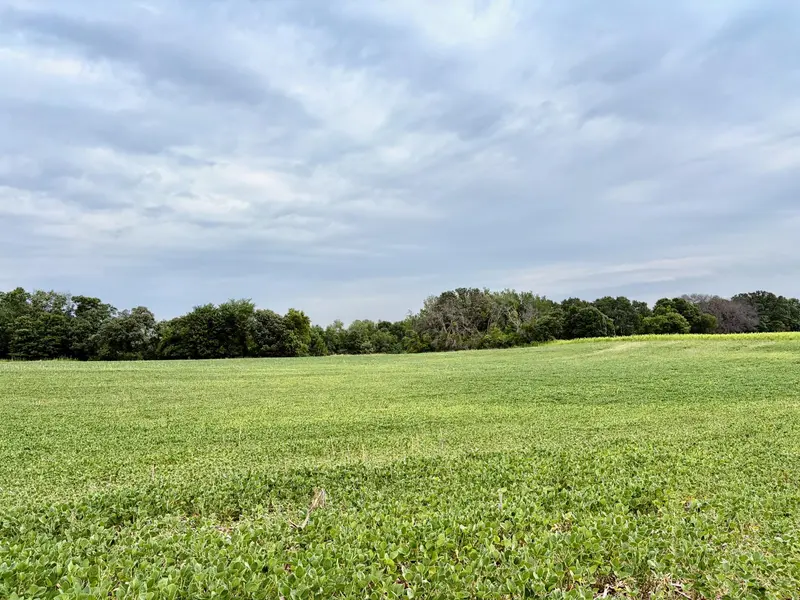 TBD (L12B2) County Road 5 NW, Isanti, MN 55040