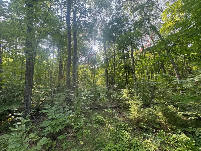TBD Howard Lake RD NW, Akeley, MN 56433