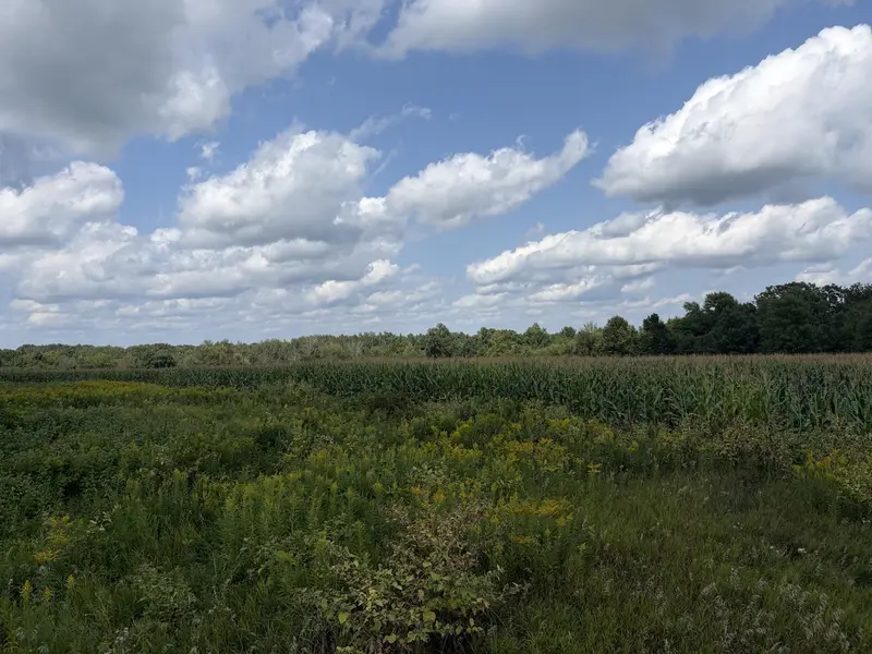 73 45th AVE, Clayton, WI 54004