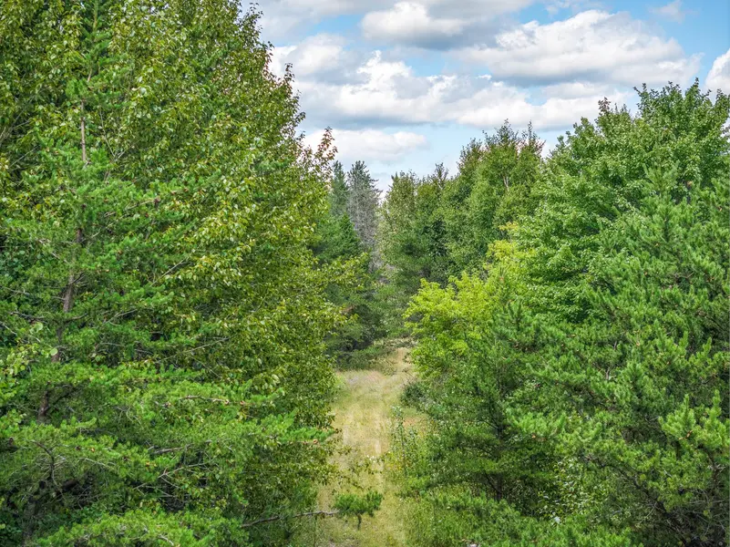 Tract B Highway 21, Babbitt, MN 55706