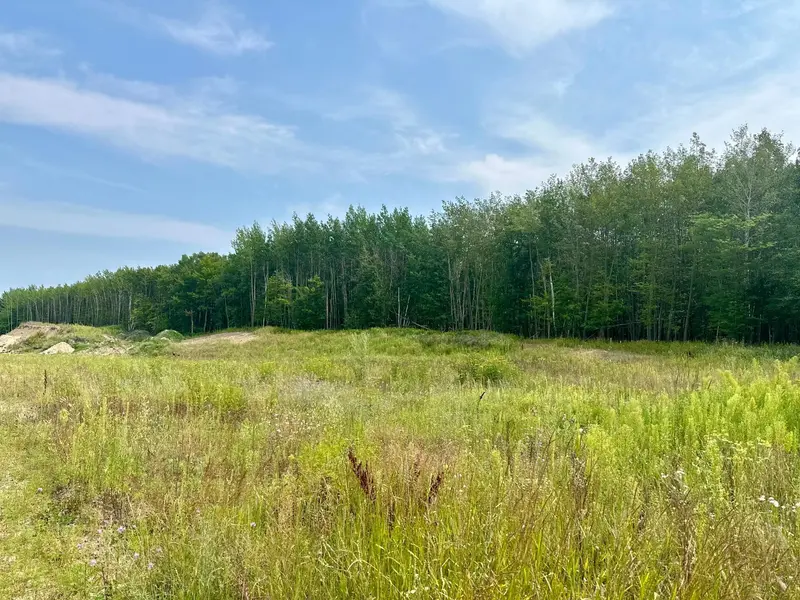 TBD-Lot 8 E Ottertail RD NW, Walker, MN 56484