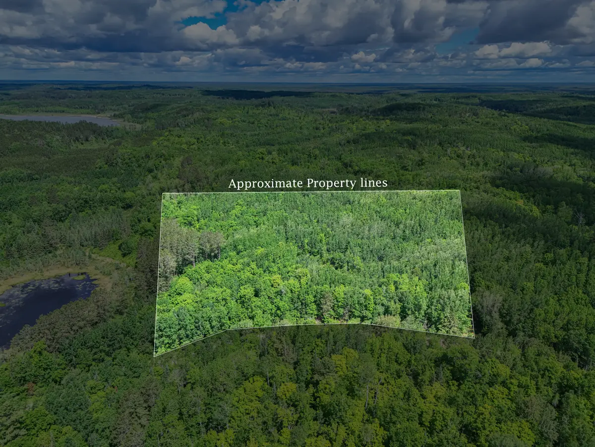 TBD Lot B Co Rd 533, Effie, MN 56639
