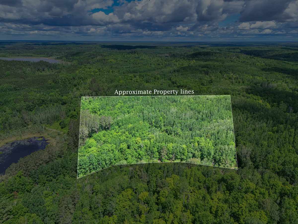 TBD Lot B Co Rd 533, Effie, MN 56639