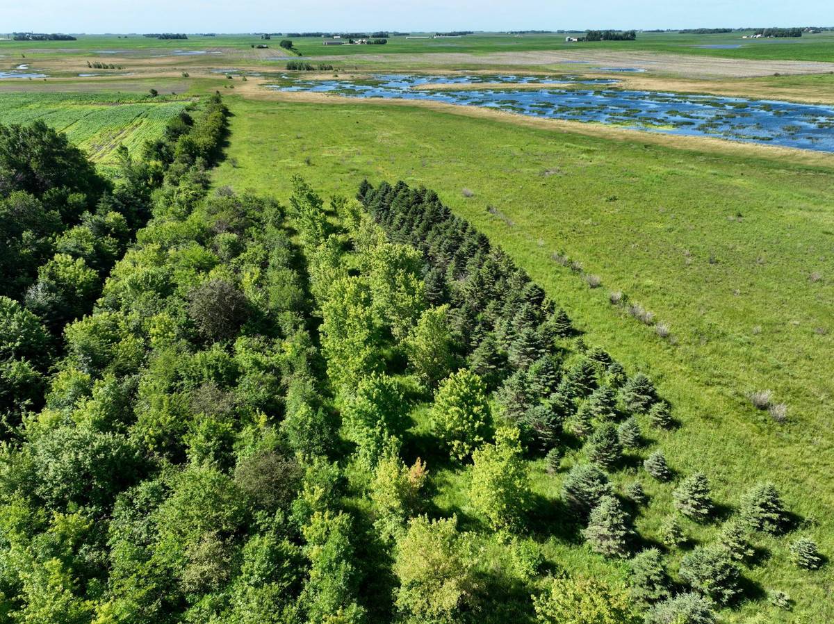 TBD 60TH Street, Blue Earth, MN 56013