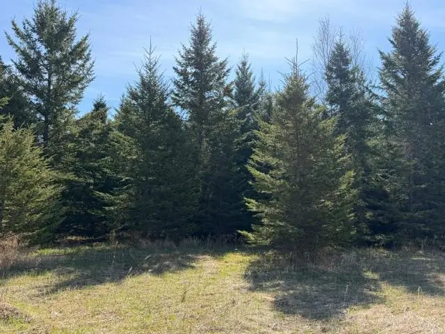 TBD 66th AVE NE, Remer, MN 56672