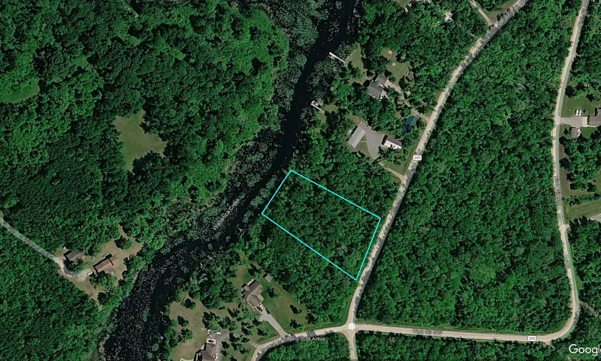 _ __Birch Circle DR NW, Baudette, MN 56623