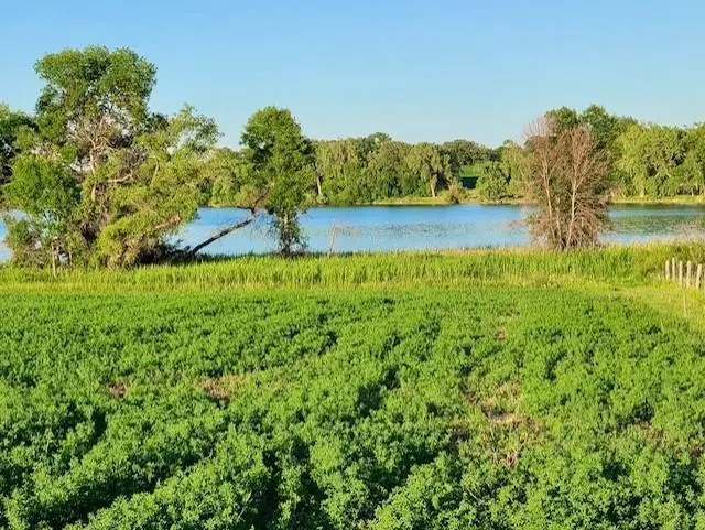 XXXX Co-Rd 108 NW, Brandon, MN 56315