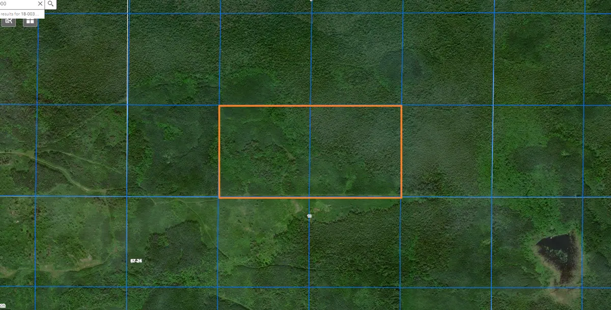 TBD County Road 8, Littlefork, MN 56653