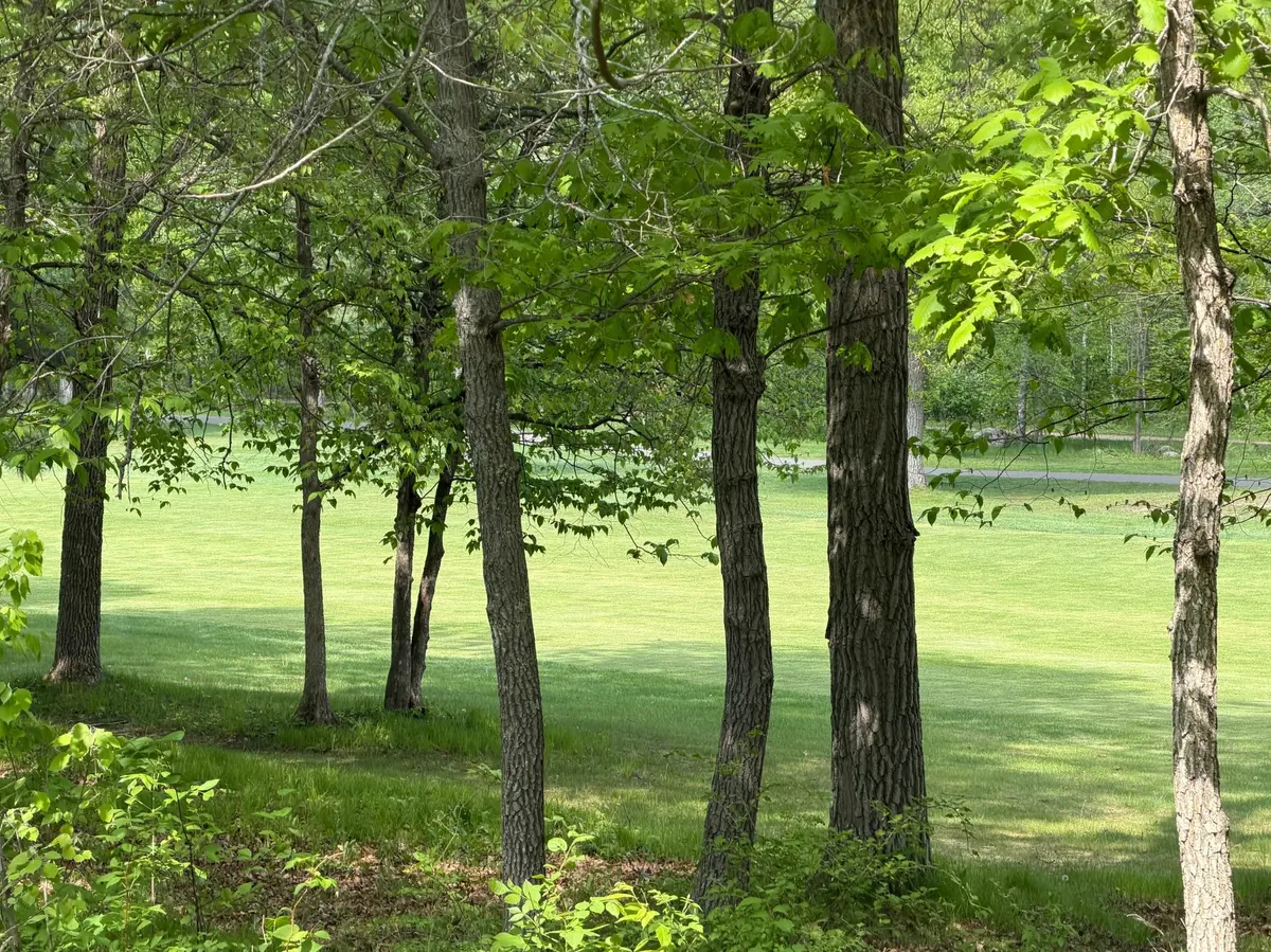 TB County Road 16, Pequot Lakes, MN 56472