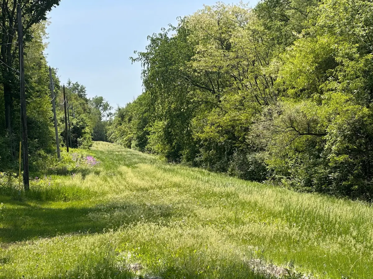 TBD Pullman AVE, Saint Paul Park, MN 55071