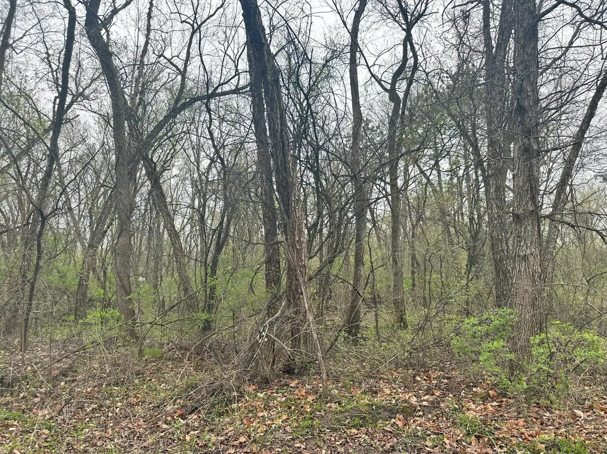 Lot 0 Catfish DR, Trempealeau, WI 54661